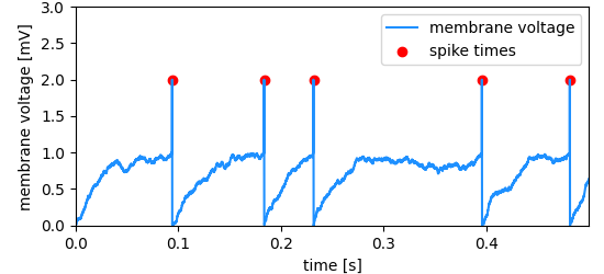 spike times in a neuron's activity